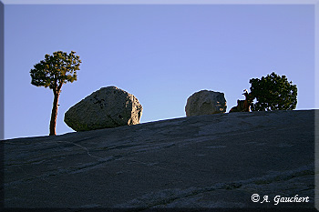 Sonnenuntergang am Olmsted Point